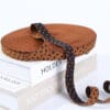 Custom Jacquard Elastic Band