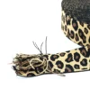 Leopard Jacquard Elastic Band